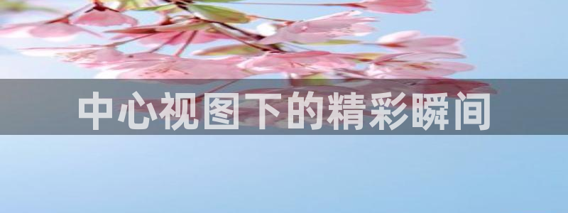 中心视图下的精彩瞬间