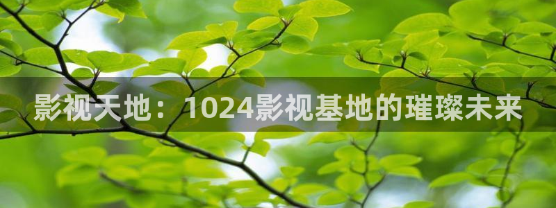 影视天地：1024影视基地的璀璨未来