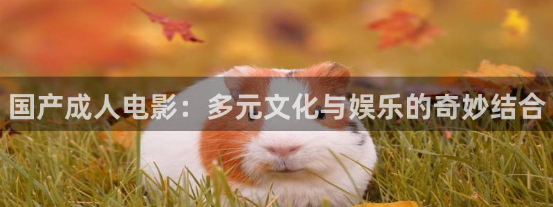 国产成人电影：多元文化与娱乐的奇妙结合