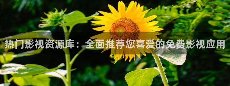热门影视资源库：全面推荐您喜爱的免费影视应用