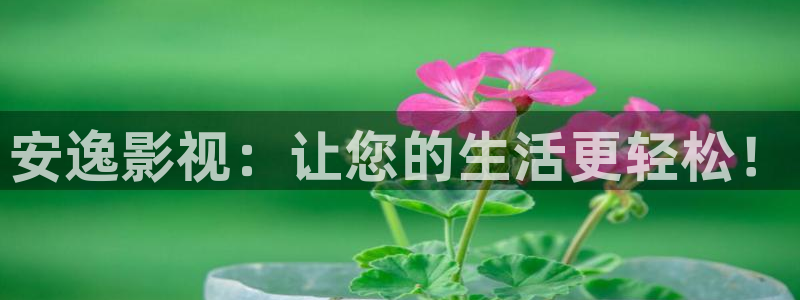 安逸影视：让您的生活更轻松！
