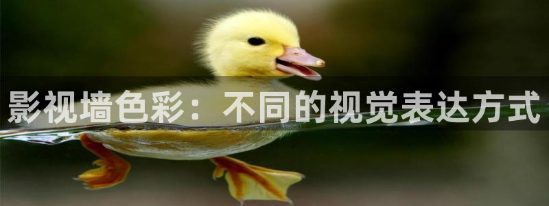影视墙色彩：不同的视觉表达方式