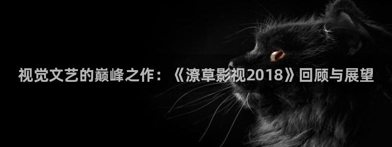 视觉文艺的巅峰之作：《潦草影视2018》回顾与展望