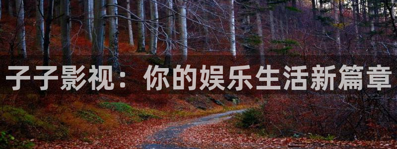 子子影视：你的娱乐生活新篇章