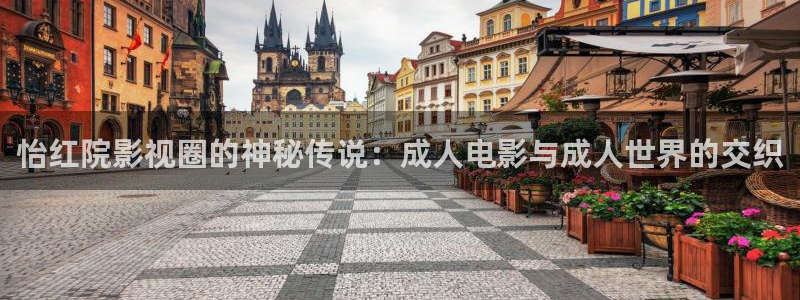 怡红院影视圈的神秘传说：成人电影与成人世界的交织