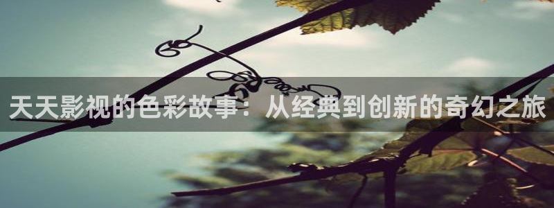 天天影视的色彩故事：从经典到创新的奇幻之旅