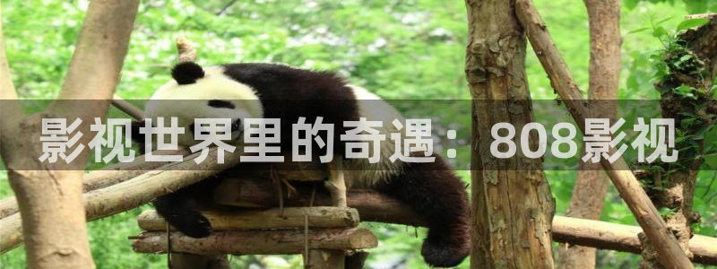 影视世界里的奇遇：808影视