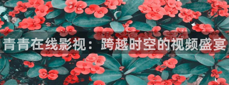 青青在线影视：跨越时空的视频盛宴
